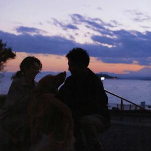 超级碰在线观看
