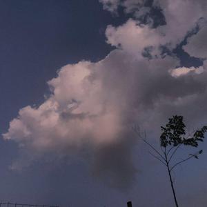 超级碰在线观看
