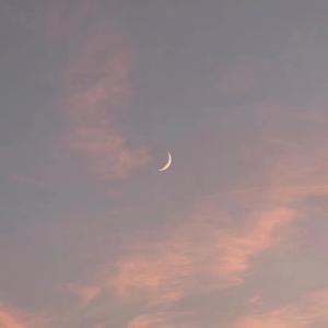 超级碰在线观看
