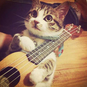 超级碰在线观看
